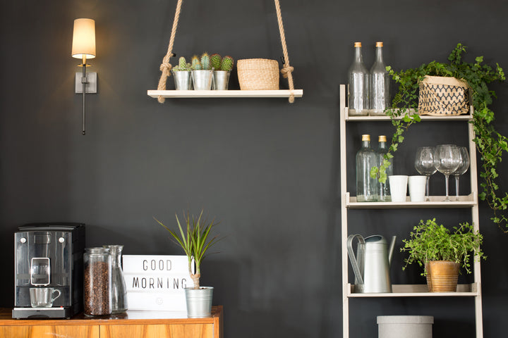 Camila - 1 Light Wall Sconce