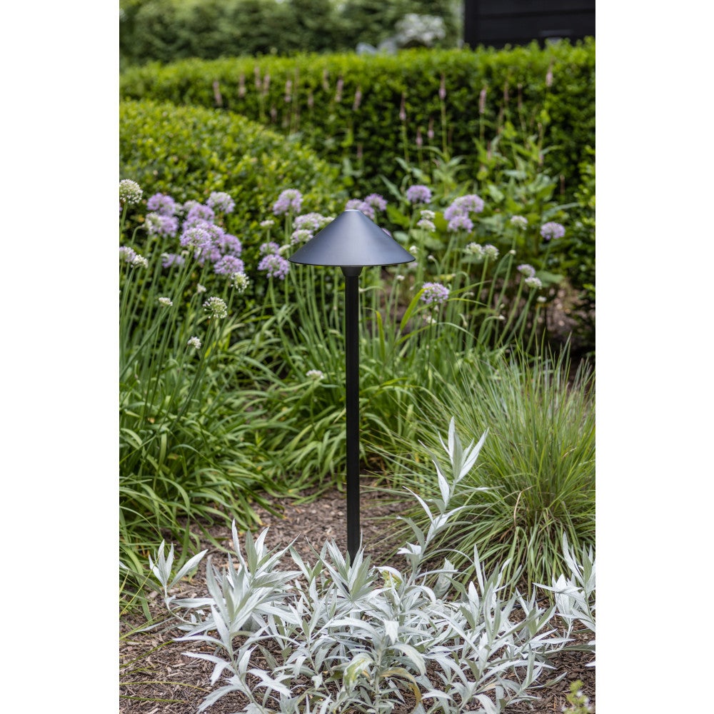Springfield Path Light