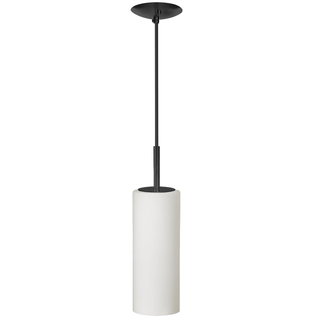Paza 1 Light Incandescent Pendant by Dainolite