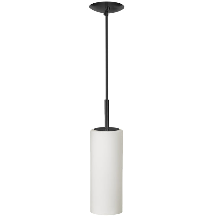 Paza 1 Light Incandescent Pendant by Dainolite
