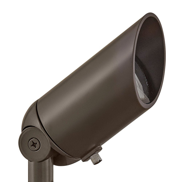 Accent Spotlight