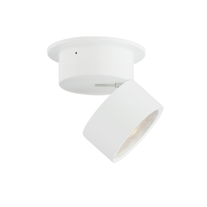 Swinger Adjustable LED Flush Mount White