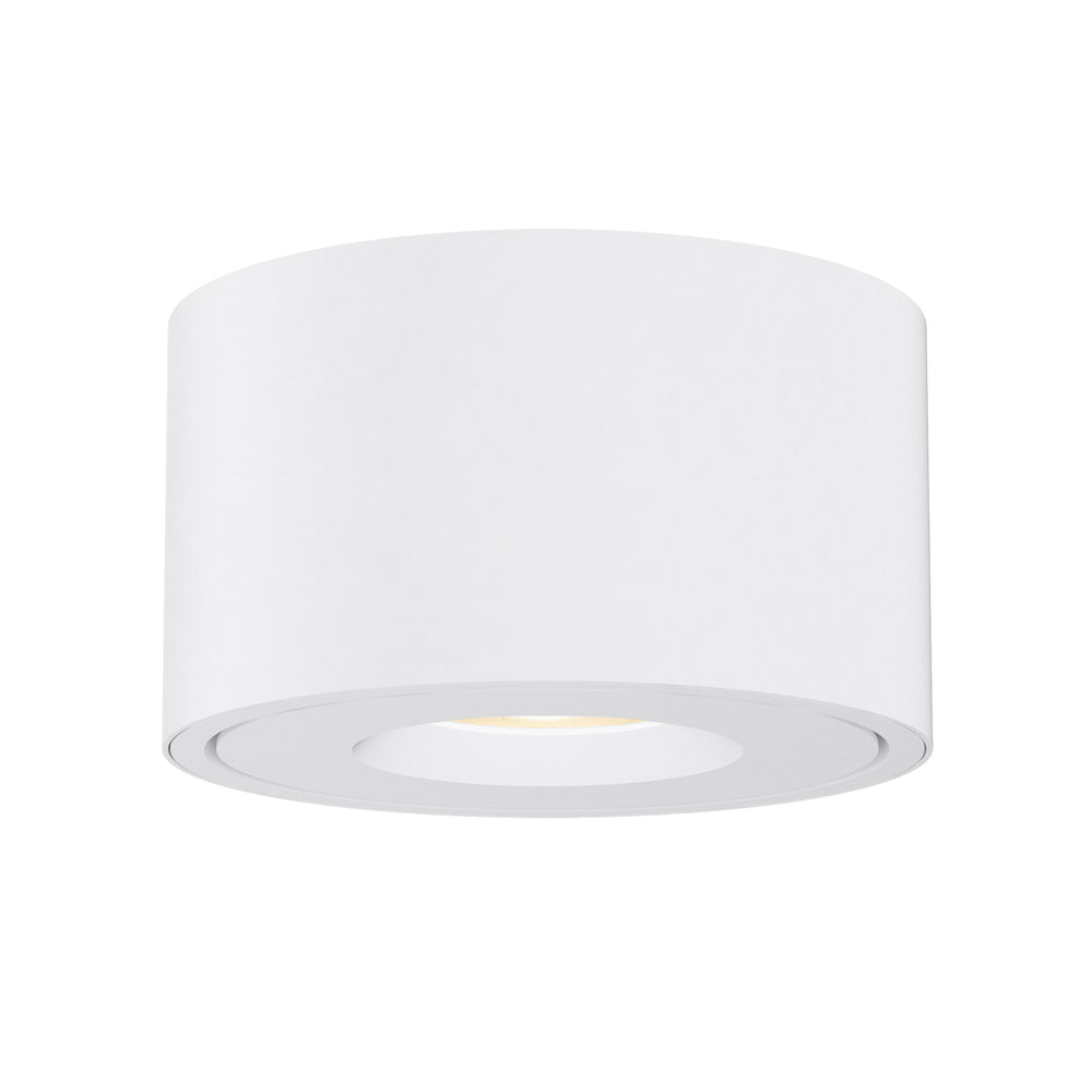 Fulcrum LED Flush Mount w Gimbal White