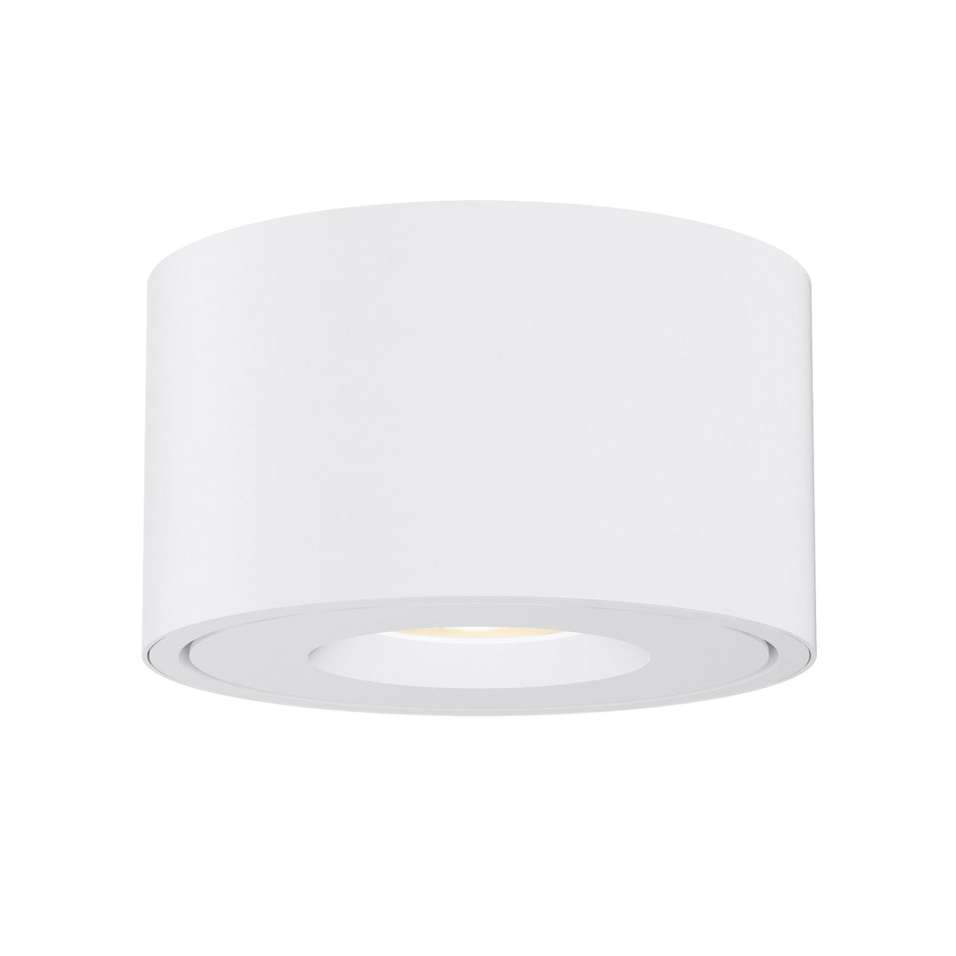 Fulcrum LED Flush Mount w Gimbal White