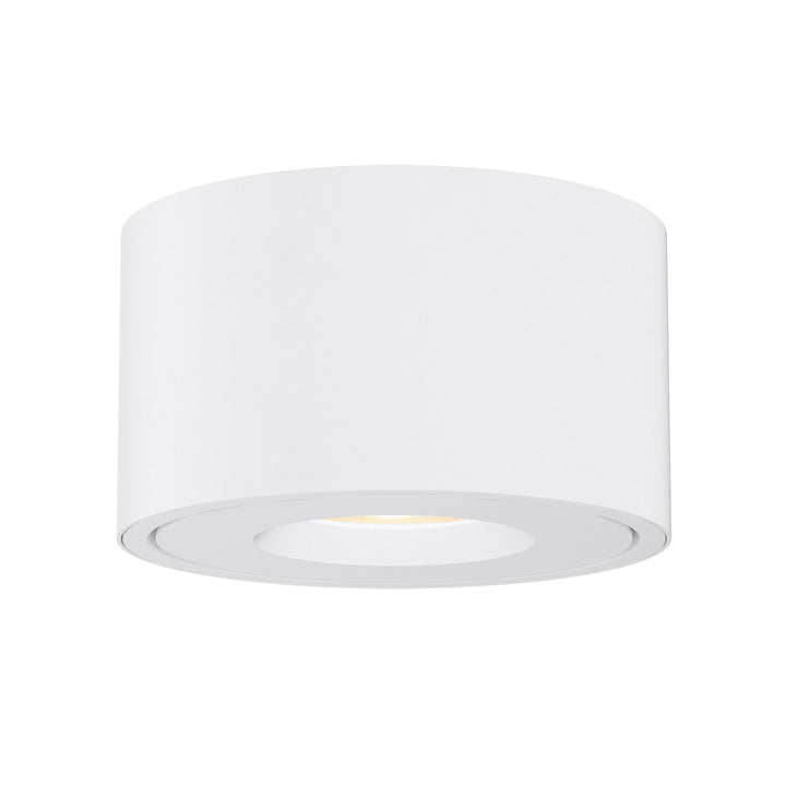 Fulcrum LED Flush Mount w Gimbal White