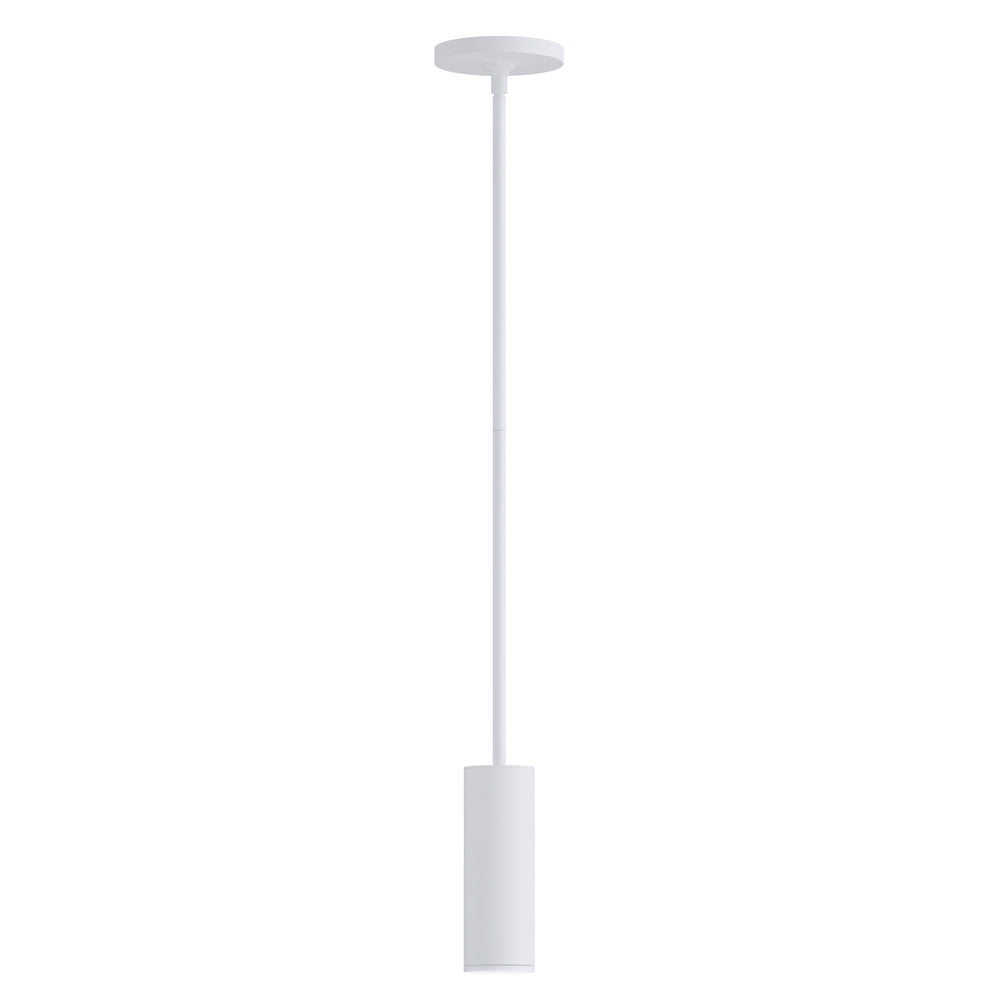 Fulcrum LED Pendant w Gimbal White