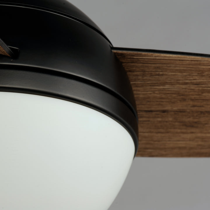 Cupola LED Fan