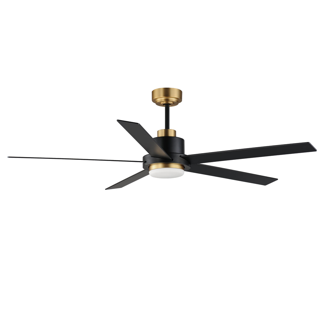 Daisy 60" 5-Blade Fan w LED Light Kit Black / Gold