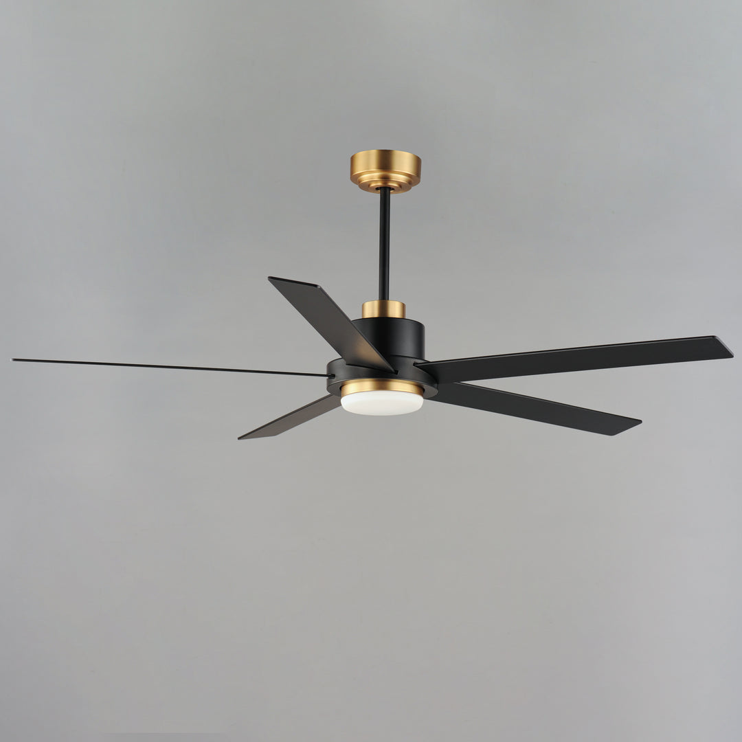 Daisy 60" 5-Blade Fan w LED Light Kit Black / Gold alternate view