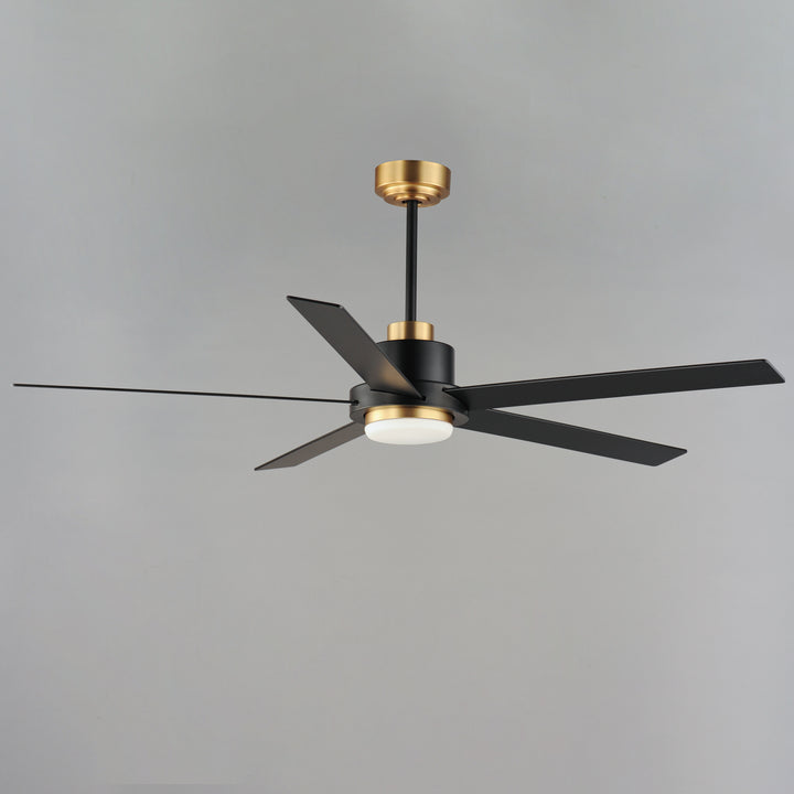 Daisy 60" 5-Blade Fan w LED Light Kit Black / Gold alternate view