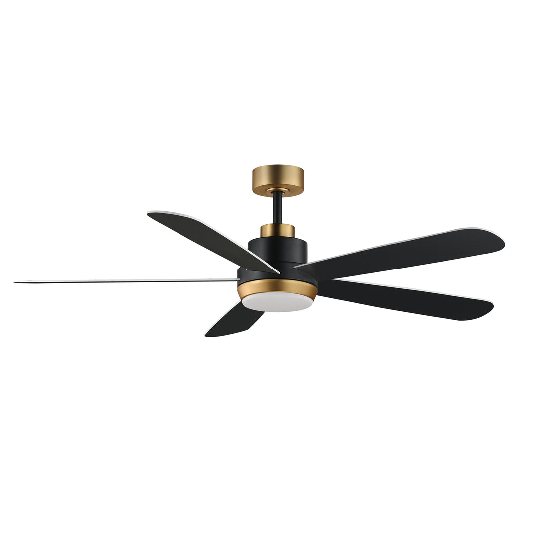 Daisies 60" 5-Blade Fan w LED Black / Gold