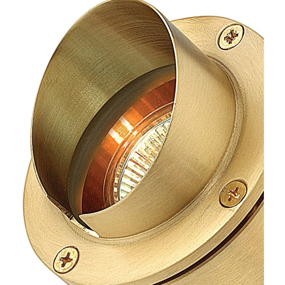 Accent Pond Light 12V Brass MR16 Submersible