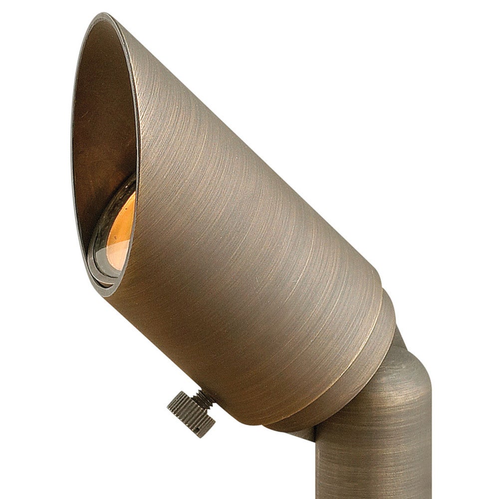 Hardy Island Accent Spotlight