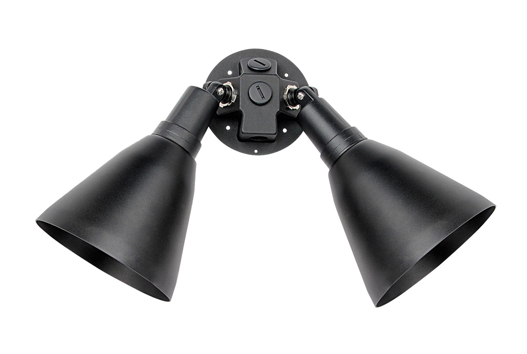 Spots 2-Light Outdoor Wall Mount Black