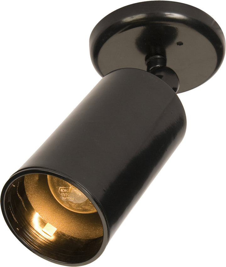Spots Can Wall/Flush Mount Black