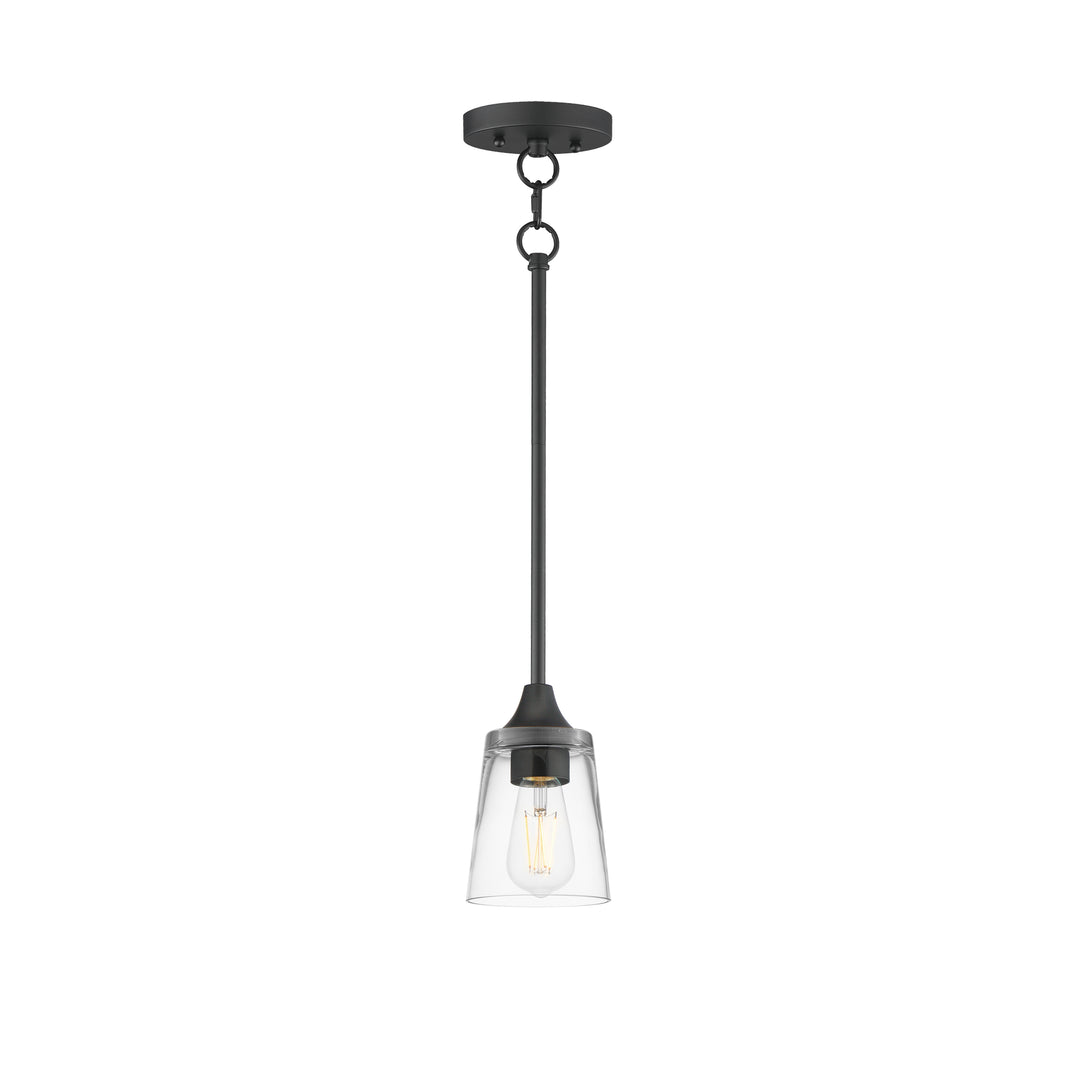 Hudson Mini Pendant Black (CLBK)