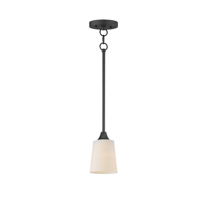 Hudson Mini Pendant Black (SWBK)