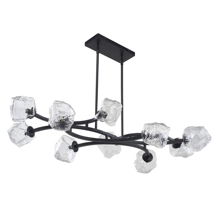 Carson 10-Light Chandelier in Black by Avista