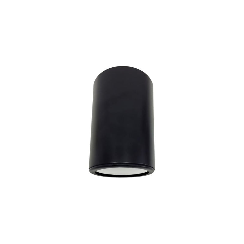 Cylinder LED Outdoor Ceiling Light