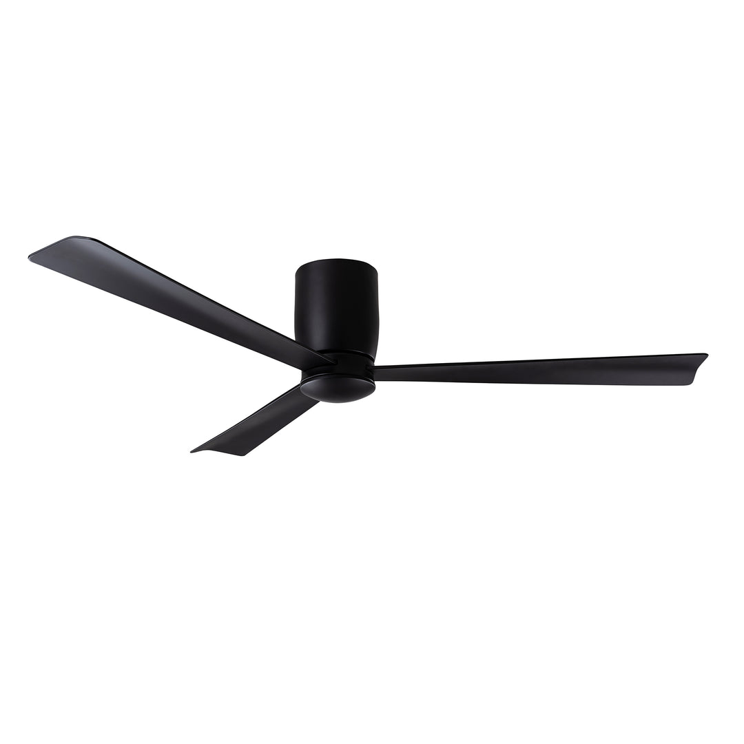 Blu - Ceiling Fan
