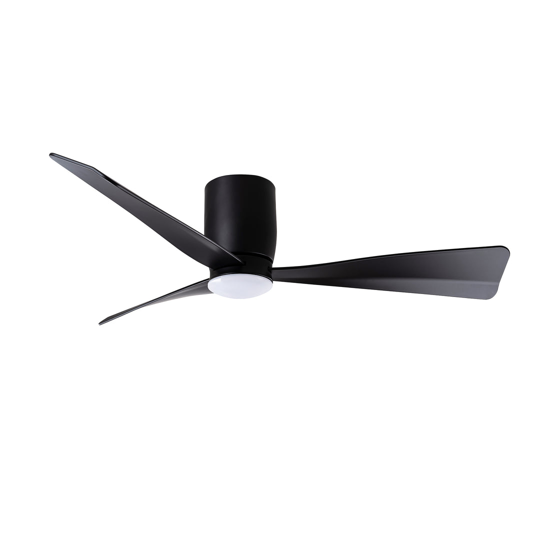 Blu - Ceiling Fan