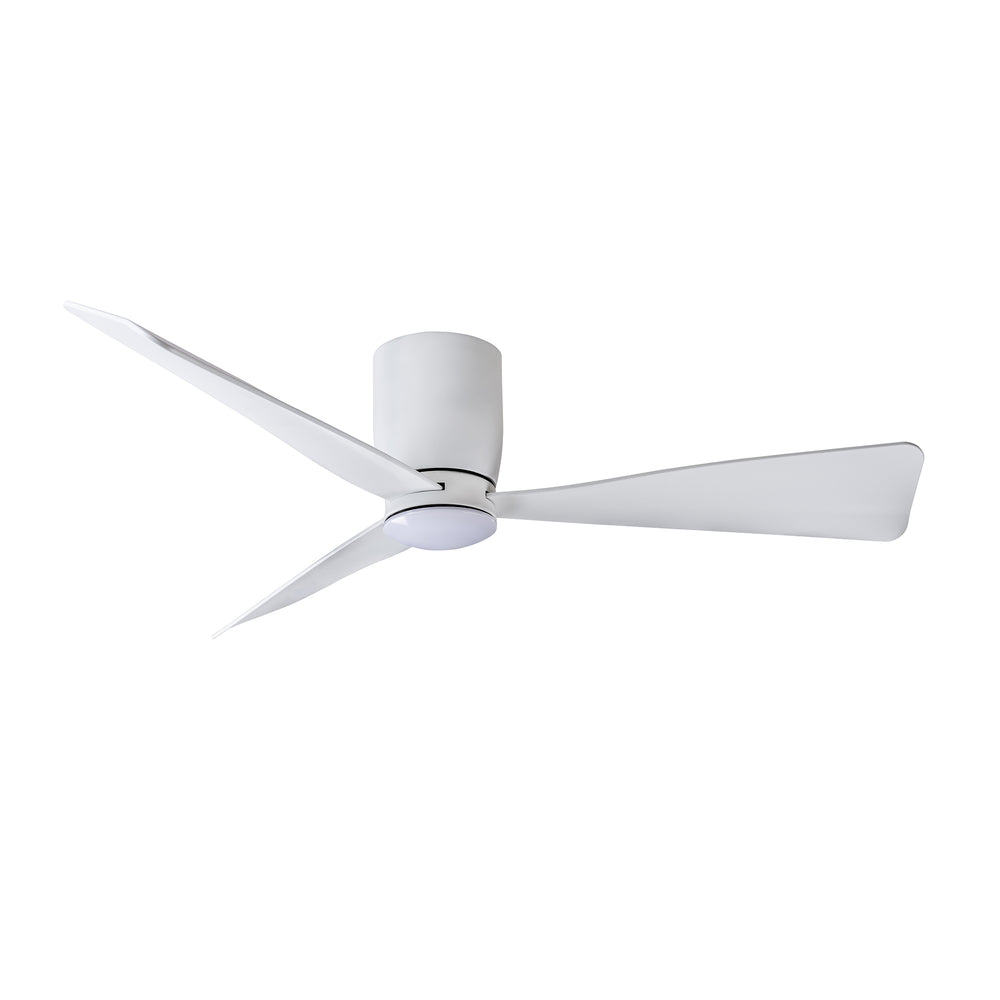 Blu - Ceiling Fan