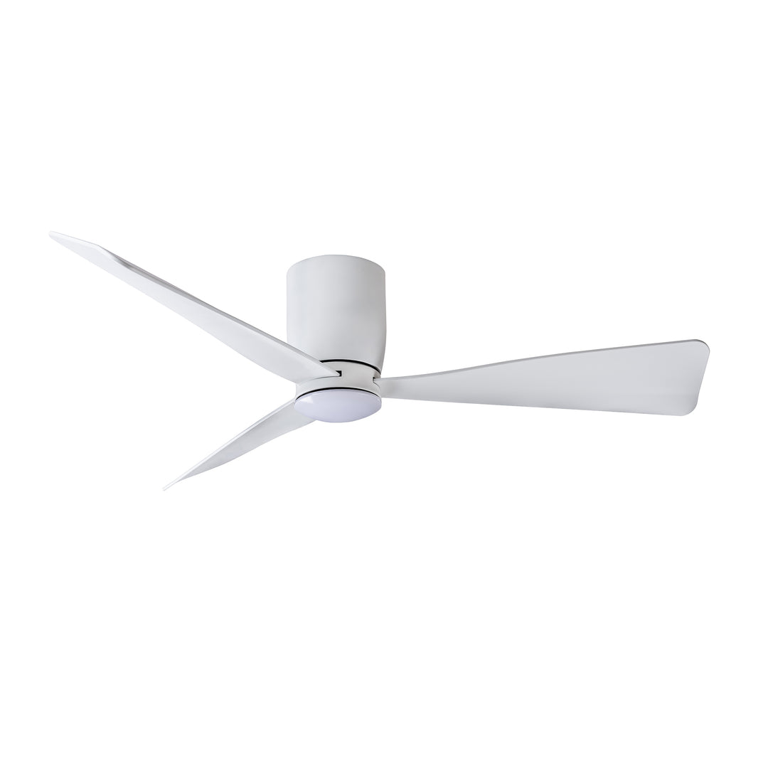 Blu - Ceiling Fan
