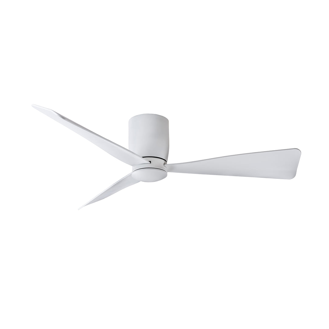Blu - Ceiling Fan
