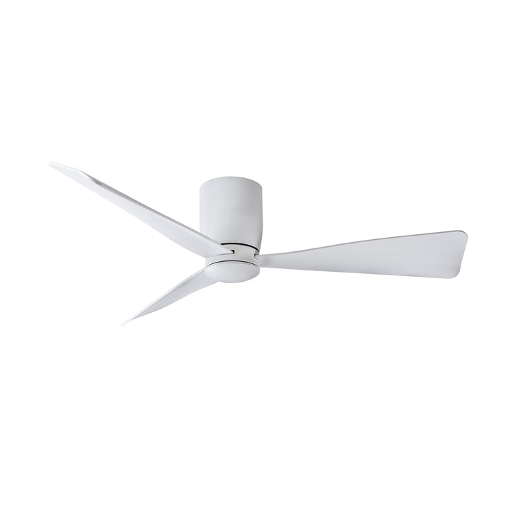 Blu - Ceiling Fan