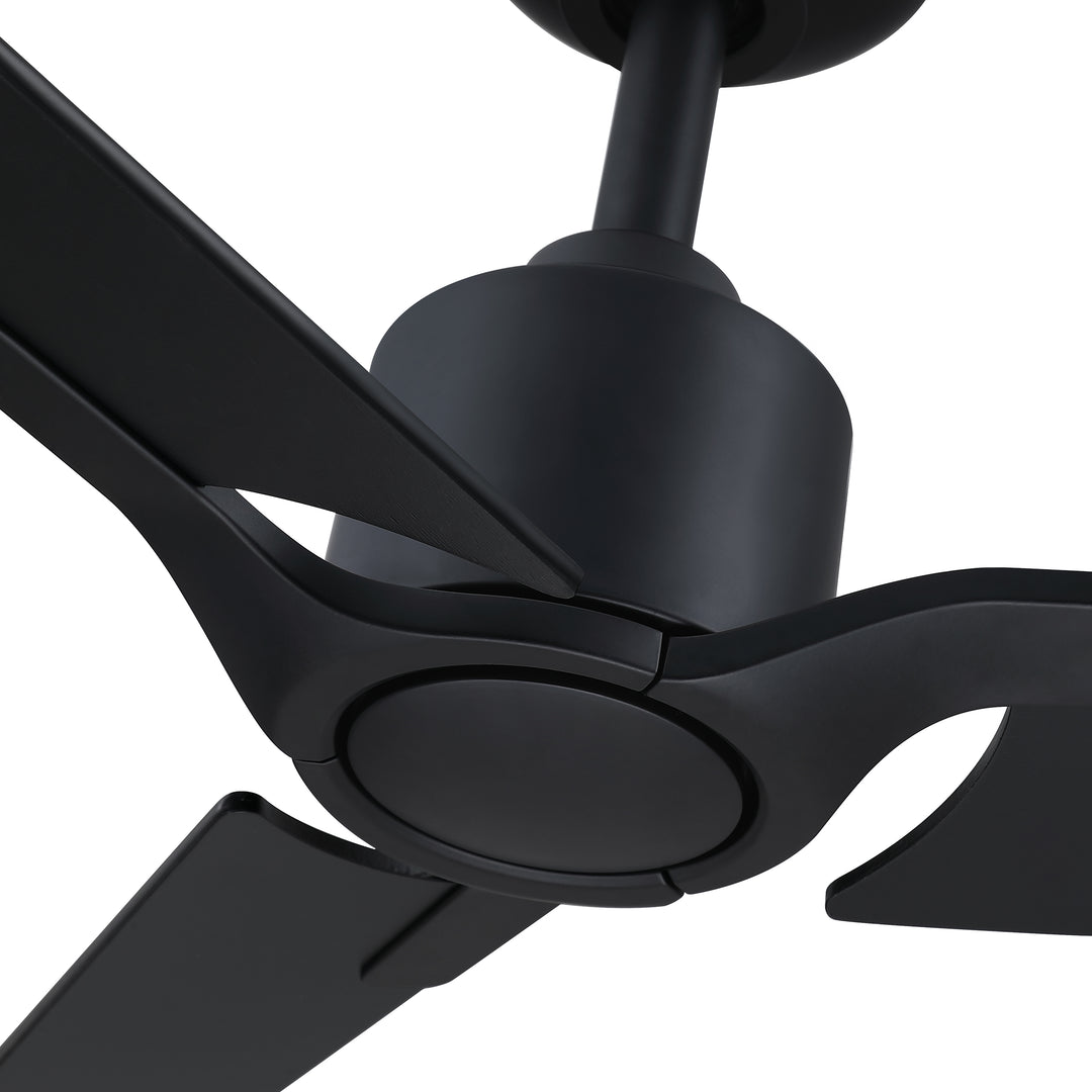 Ancon - Ceiling Fan