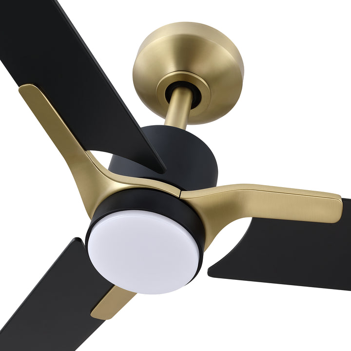 Ancon - Ceiling Fan