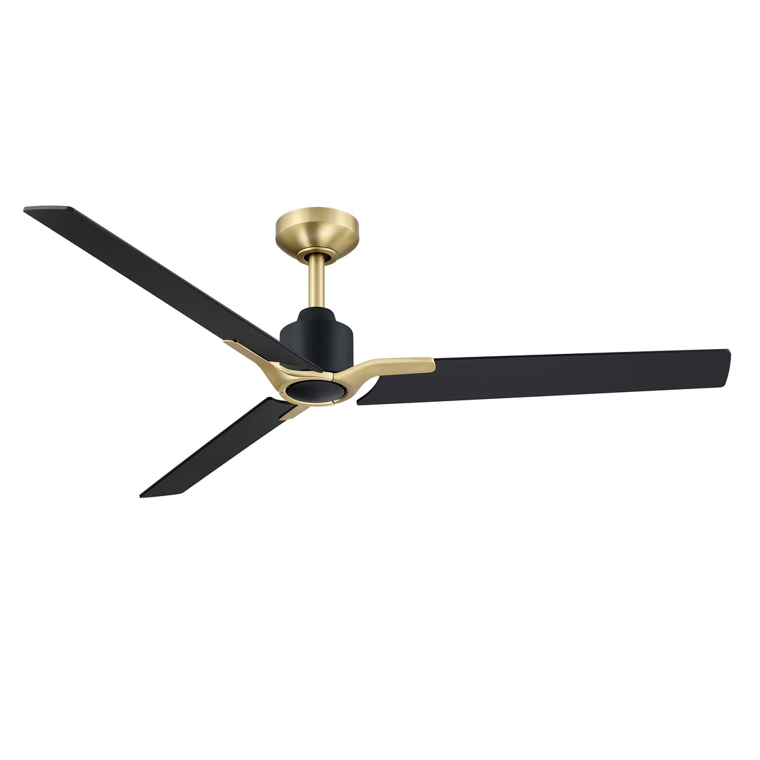 Ancon - Ceiling Fan