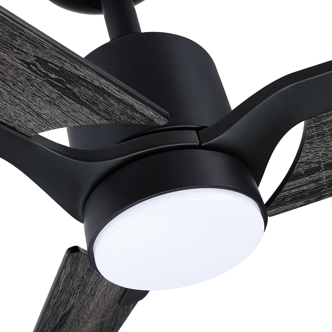 Ancon - Ceiling Fan