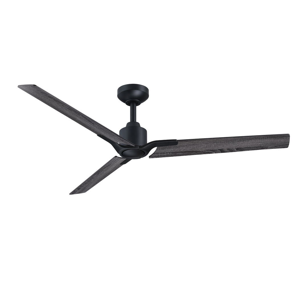 Ancon - Ceiling Fan