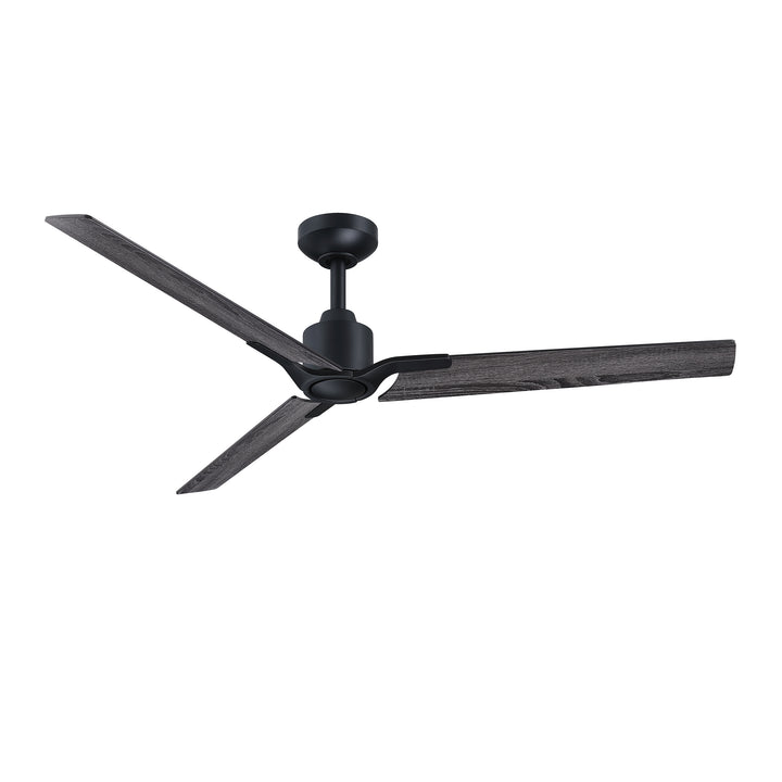 Ancon - Ceiling Fan