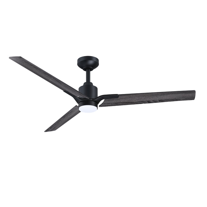 Ancon - Ceiling Fan