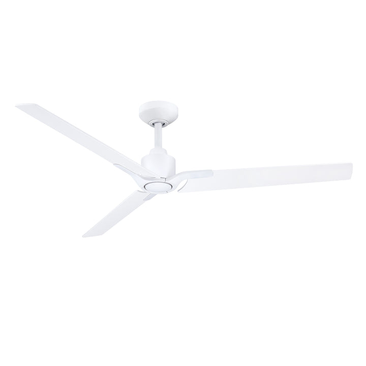 Ancon - Ceiling Fan