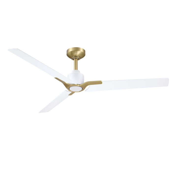 Ancon - Ceiling Fan