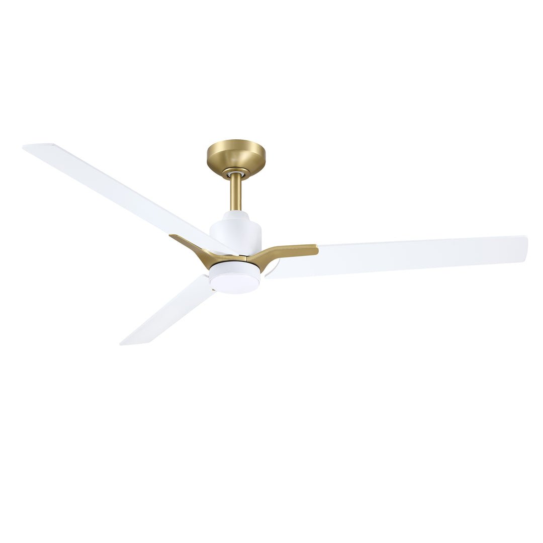 Ancon - Ceiling Fan