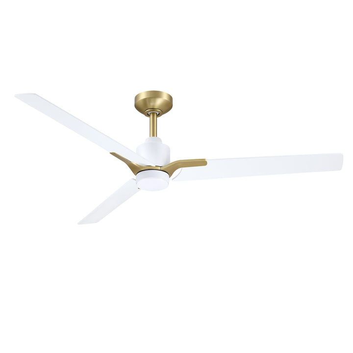 Ancon - Ceiling Fan