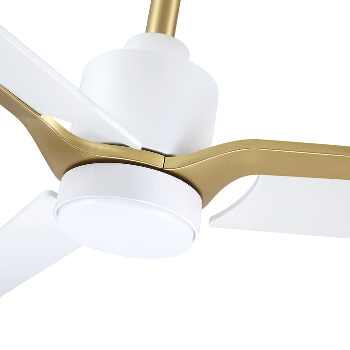Ancon - Ceiling Fan