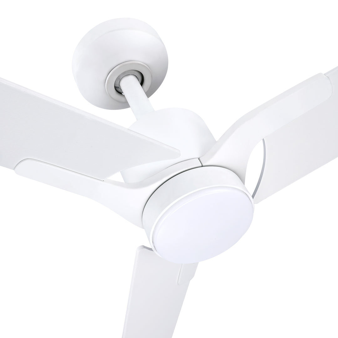 Ancon - Ceiling Fan