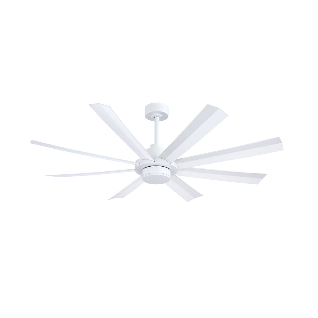 Venn - Ceiling Fan