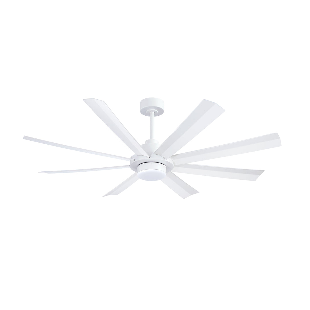 Venn - Ceiling Fan