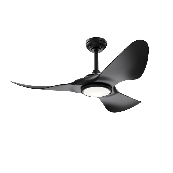 Tempest - Ceiling Fan