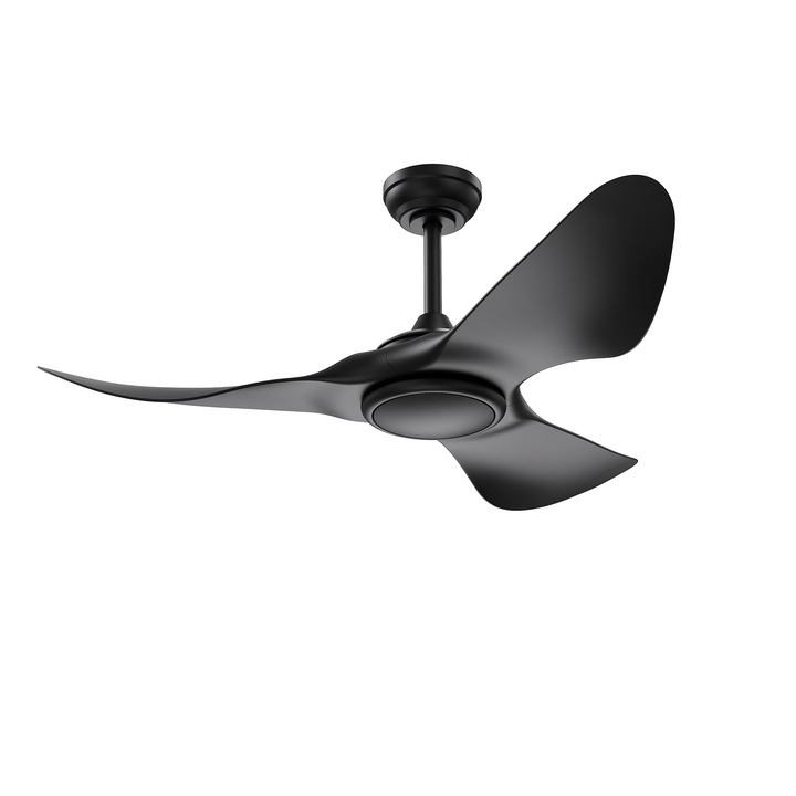 Tempest - Ceiling Fan
