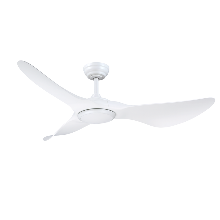 Tempest - Ceiling Fan