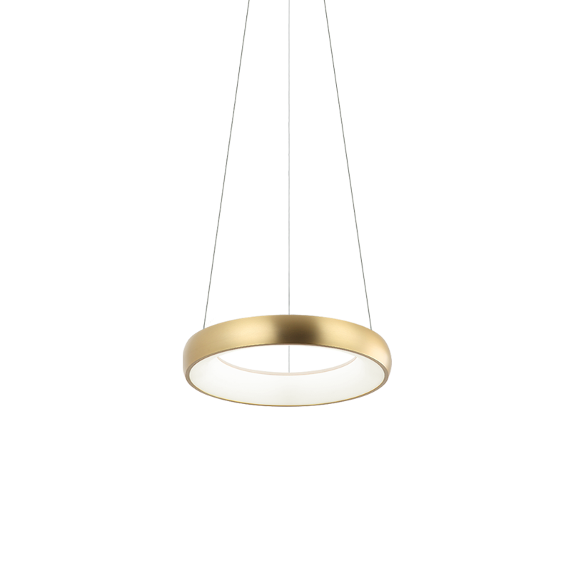 Steel Ring Frame with White Acrylic Diffuser Chandelier / Pendant