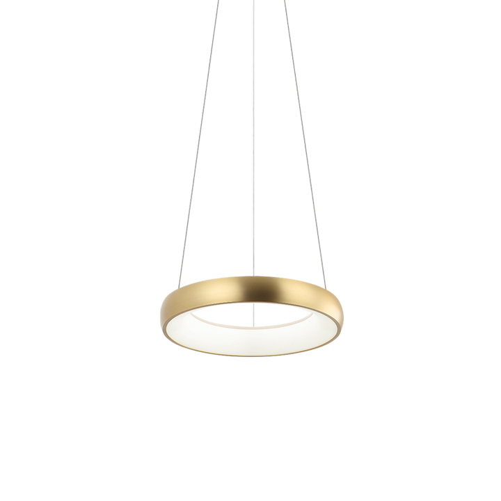 Steel Ring Frame with White Acrylic Diffuser Chandelier / Pendant