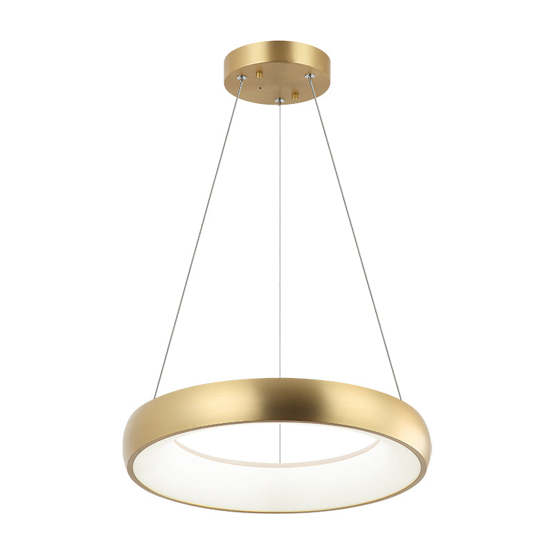Steel Ring Frame with White Acrylic Diffuser Chandelier / Pendant